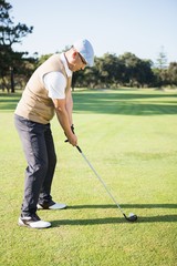 Fototapeta premium Golfer preparing his shot