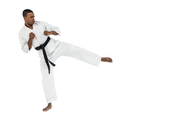 Fighter performing karate stance