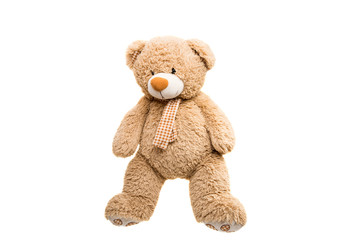 Big Bear soft toy isolated