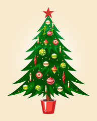 christmas tree fir pine