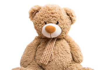 Big Bear soft toy isolated