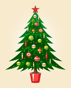 christmas tree fir pine