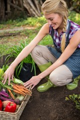 Happy gardener with fresh vegetables at garden