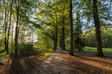 Naklejka premium Fall at Groeneveld estate in 