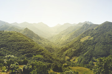 Naklejka premium tree, park, green, cloud, travel, view, rock, clearing, bright, grass, wood, pine, garden, blue, beauty, mountain, sky, cliff, style, beautiful, background, nature, asturias, landscape, montain