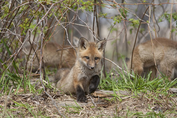 Partir à l'aventure