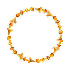 Round bright watercolor hand drawn mushroom wreath 