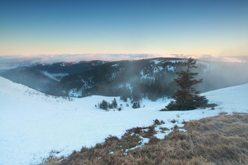 winter foggy morning on mountain top