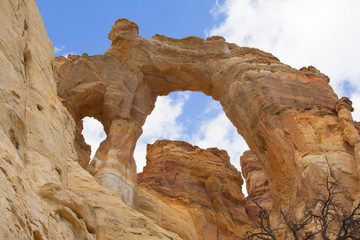 Desert Rock Formation