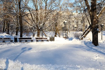 People are walking in the park in Riga, Latvia. Winter background, landscape. Winter trees in wonderland. Winter scene. Christmas, New Year background