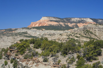 Desert Rock Formation