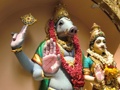 Lord Varaha the boar Hindu idol statue