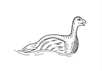 Hand-drawn sketch of duck