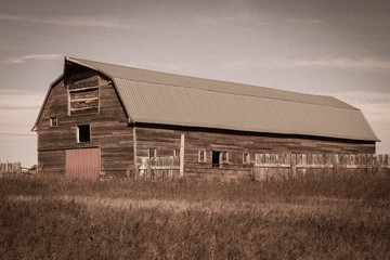 Obraz premium Barn on the Range