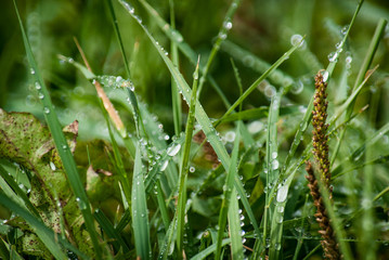 After the Rain
