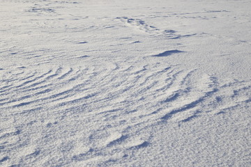Snow field in beams of a rising sun