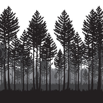 Vector pine forest landscape. Beautiful hand drawn illustration - dark forest with pine trees, outdoor scene in black and white. Made using clipping mask, you can change image