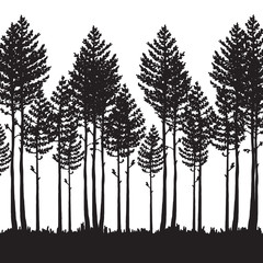 Vector pine forest landscape. Beautiful hand drawn illustration - dark forest with pine trees, outdoor scene in black and white. Made using clipping mask, you can change image