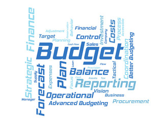 Budget word cloud
