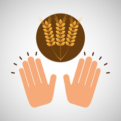 wheat spike bakery concept vector illustration eps 10