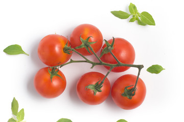 Branches of Cherry Tomatoes
