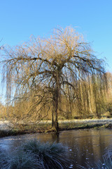 see in neuss insel hombroich 