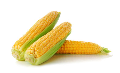 Fresh sweet corn on white background