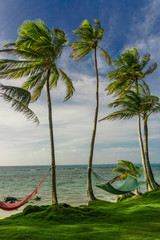 hammock in the shadow of the palm on the tropical beach