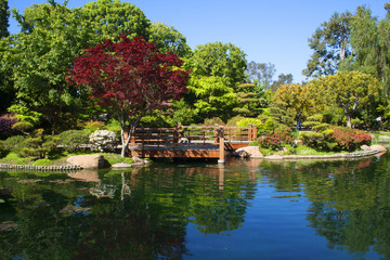 Fototapeta premium Japanese Garden