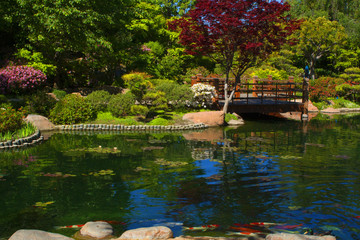 Fototapeta premium Japanese Garden