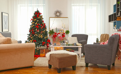 Interior of beautiful living room decorated for Christmas