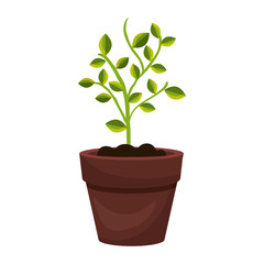 tree plant cultivate icon vector illustration design