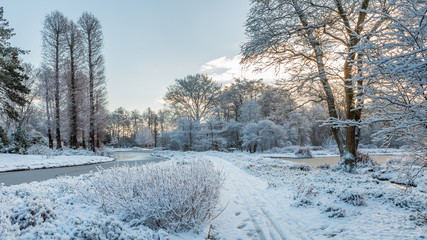 White garden scenery with path covered under freshly fallen snow