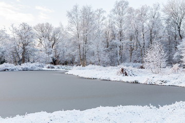 Layer of fresh snow on frozen pond and trees on the lakeside int