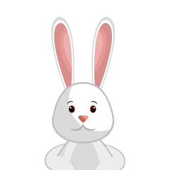 cute rabbit easter character vector illustration design