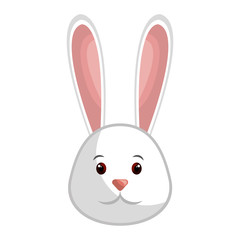 cute rabbit easter character vector illustration design