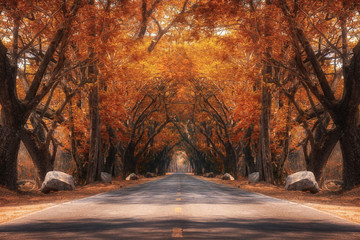 Fairy tale road in Autumn