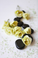 Wet pebbles and flowers on light background