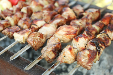 Fresh tasty barbecue with vegetables in brazier outdoors