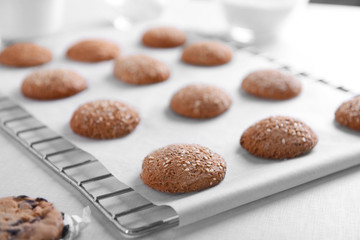 Freshly baked cookies on tray rack