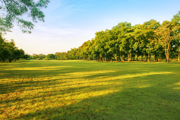 paysage de terrain en herbe et parc public d& 39 environnement vert utilise un
