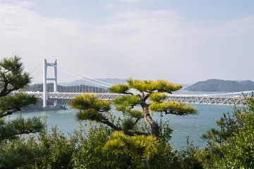 岡山県 倉敷市 下津井 鷲羽山 瀬戸大橋