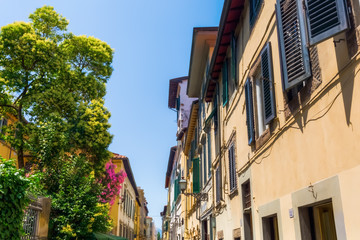 Obraz na płótnie Canvas old buildings in Lucca, Italy