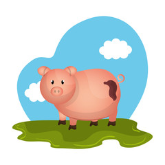 pig animal farm in the field vector illustration design