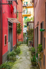 Fototapeta na wymiar picturesque alley in Monterosso al Mare, Italy