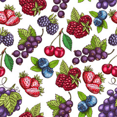 Berries fruits sketch seamless pattern