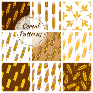 Cereal grain seamless patterns set