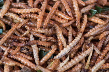 Fried Insect street food of Thailand