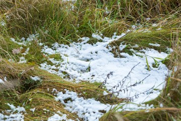 Obraz premium Snow malting on grass at spring or autumn