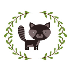 Raccoon cartoon icon. Animal cute life and nature theme. Isolated design. Vector illustration